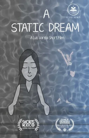 A STATIC DREAM PÓSTER